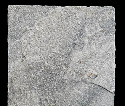 ʯӢʯ�r(ji��)�X�߰���e�O��